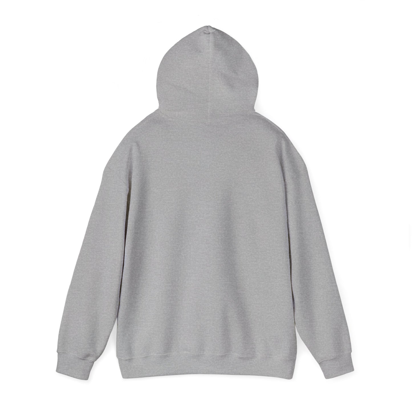Patriotic Continent Hoodie – "No Taxation Without Representation"  USA Sweatshirt