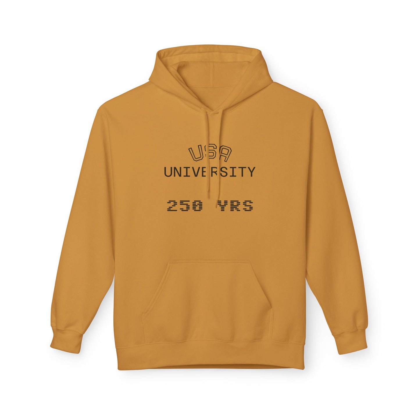 USA University 250 Yrs Hoodie — Patriotic Political Statement Graphic