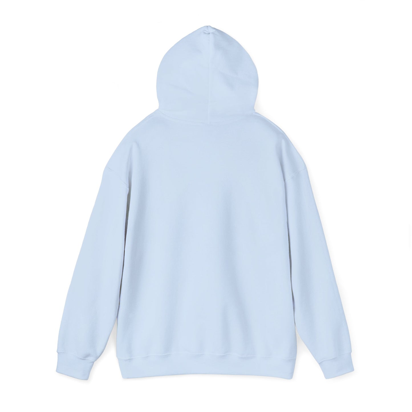 Patriotic Continent Hoodie – "No Taxation Without Representation"  USA Sweatshirt
