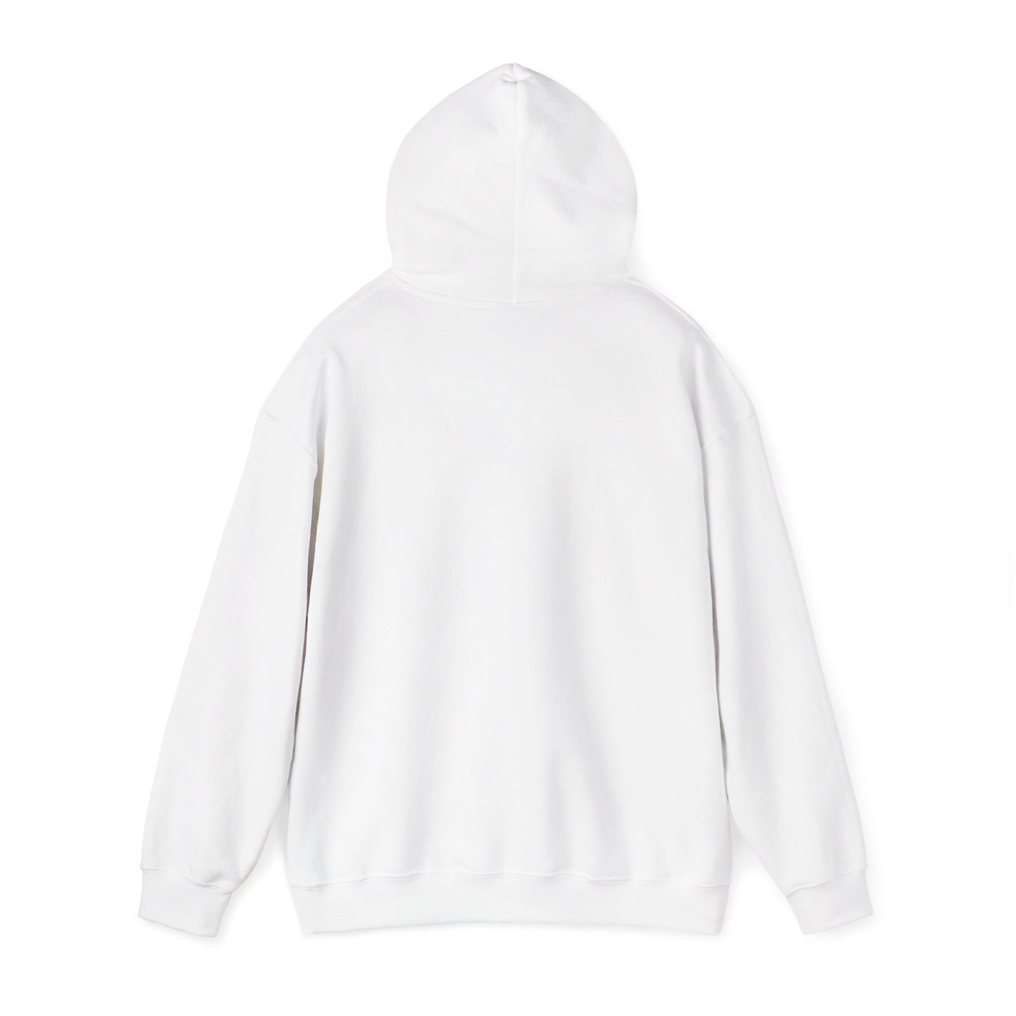 Patriotic Continent Hoodie – "No Taxation Without Representation"  USA Sweatshirt